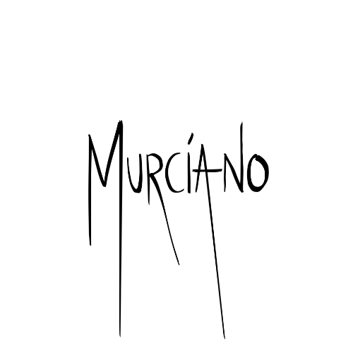 N-Gine_Logo Murciano